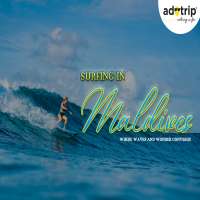 surfing in maldives